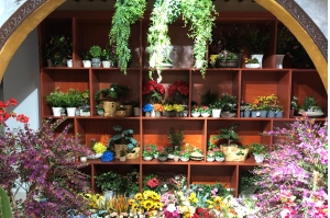 塑胶产品：仿真植物